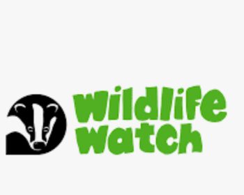 Wild life watch pg