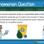 How does waste reduction make us responsible global citizens.jpg