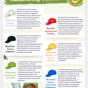 De Bono Thinking Hats jpg.jpg