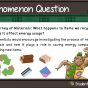 The Journey of Materials.jpg